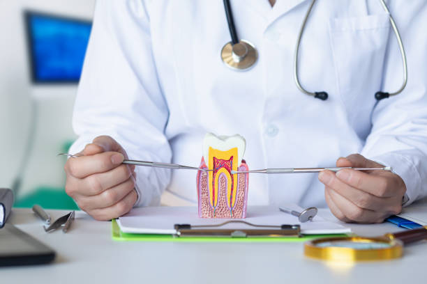 Best Pediatric Emergency Dentist in Gloversville, NY